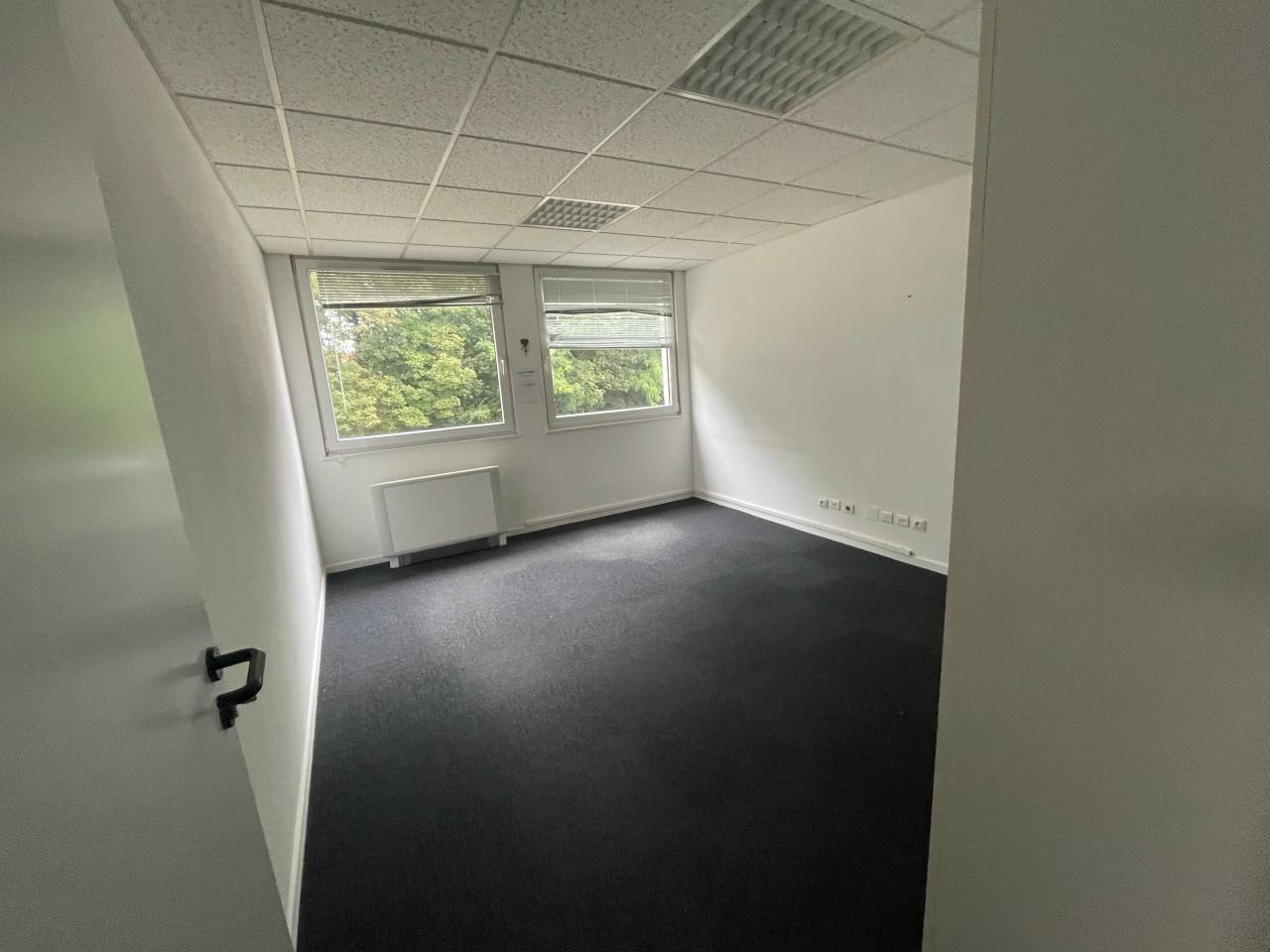 Bureau Oberhausbergen 140m² Location bureau Oberhausbergen Bas-Rhin OLBUR2426265 18